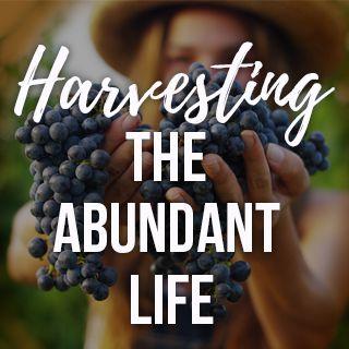 Harvesting The Abundant Life