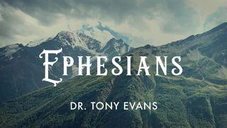 Exposition Of Ephesians - Chapter 1 Ephesians 1:3 New International Version