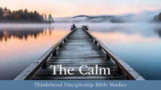 The Calm: Live Each Day in the Calm Amid the Storm  Philippians 4:7 Amplified Bible