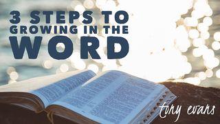 3 Steps To Growing In The Word Psalms 119:130 New International Version