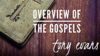 Overview Of The Gospels John 1:3-4 English Standard Version 2016