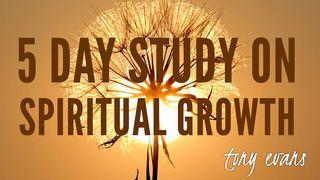 5 Day Study On Spiritual Growth 2 Corinthians 12:8 New International Version