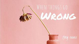 When Things Go Wrong Ephesians 1:3 New International Version