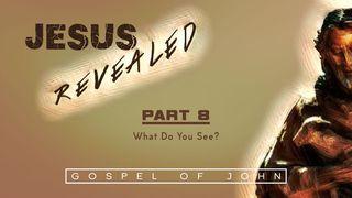 Jesus Revealed Pt. 8 - What Do You See? John 1:29 New American Standard Bible - NASB 1995