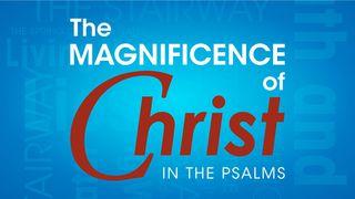 The Magnificence Of Christ In The Psalms Psalms 119:57-112 New International Version