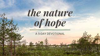 The Nature Of Hope: A 5-Day Devotional Mark 9:23 The Passion Translation