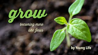 Grow: Becoming More Like Jesus Colossians 2:6 New International Version