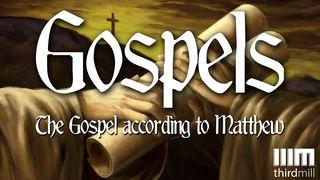 The Gospel According To Matthew Matthew 3:1 New International Version