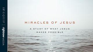 Miracles Of Jesus: A 5-Day Study Of What Jesus Makes Possible Matthew 1:18 New International Version