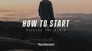 How to Start Reading the Bible Psalms 119:11 New International Version