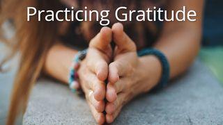 Practicing Gratitude Psalms 16:5 New International Version