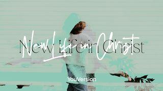 New Life In Christ Colossians 3:1-2 The Message