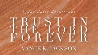 Trust In The Lord Forever Proverbs 3:5-6 Amplified Bible