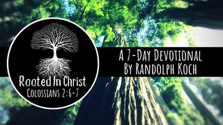 Rooted In Christ 1 John 2:3 New International Version