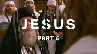 The Life of Jesus, Part 6 (6/10) John 10:1-18 New International Version