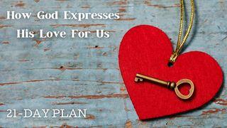 How God Expresses His Love for Us Psalms 119:57-112 New International Version