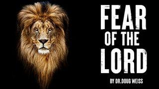 Fear of the Lord Proverbs 1:1 New International Version