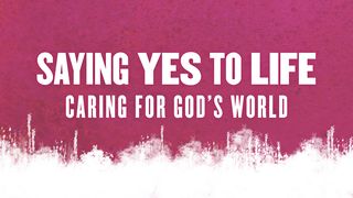 Saying Yes To Life Genesis 2:1 New International Version