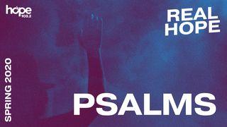 Real Hope: The Psalms Psalms 19:1 New International Version