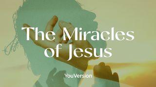 The Miracles of Jesus John 2:11 New International Version
