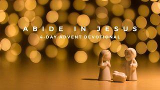 Abide in Jesus - 4-Day Advent Devotional Matthew 1:18 New International Version