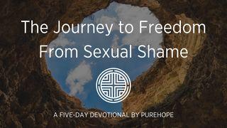 The Journey to Freedom from Sexual Shame 1 John 3:2 New International Version