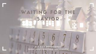 Waiting for the Savior Luke 1:68 New International Version