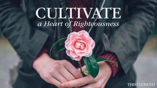 Cultivate a Heart of Righteousness! Psalms 119:11 New King James Version