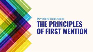 The Principles of First Mention Proverbs 4:18 New International Version