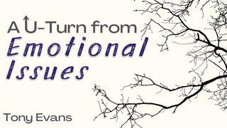 A U-Turn From Emotional Issues Proverbs 3:5-6 Amplified Bible