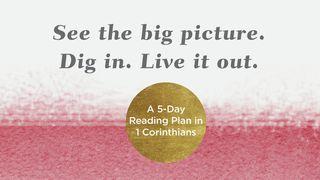 See the Big Picture. Dig In. Live It Out: A 5-Day Reading Plan in 1 Corinthians 1 Corinthians 1:9 New International Version