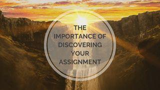 The Importance of Discovering Your Assignment  Psalms 139:13 New International Version