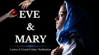 Eve & Mary Romans 16:20 New International Version