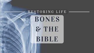 Restoring Life: Bones & the Bible Ezekiel 37:1 New International Version