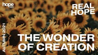 Real Hope: The Wonder of Creation Psalms 19:1 New International Version