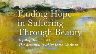 Finding Hope in Suffering Through Beauty Psalms 19:1 New International Version