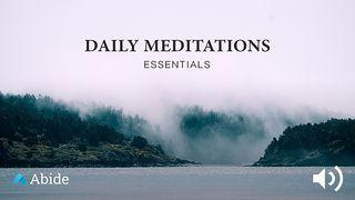 Daily Meditations: Essentials 1 Timothy 2:1 New International Version