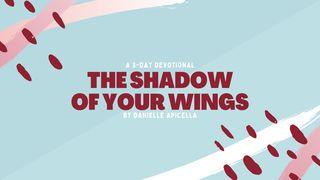 The Shadow of Your Wings Judges 6:13 New International Version