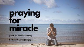 Praying for Miracle Ephesians 1:3 New International Version