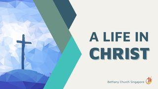 A Life in Christ Ephesians 1:3 New International Version