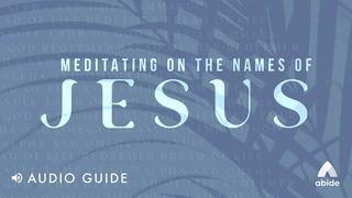 Meditating on the Names of Jesus John 1:29-31 The Message