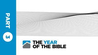 Year of the Bible: Part Three of Twelve  2 Corinthians 3:4 New International Version