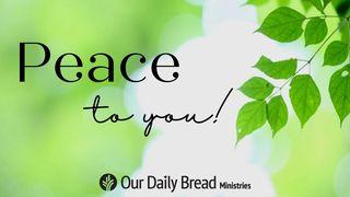 Peace to You! Ephesians 2:18-22 New International Version