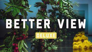 Better View Deluxe  John 1:3-4 The Passion Translation