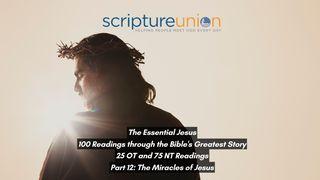 The Essential Jesus (Part 12): The Miracles of Jesus John 2:4 New International Version