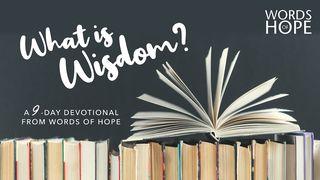 What Is Wisdom? Proverbs 1:1 New International Version