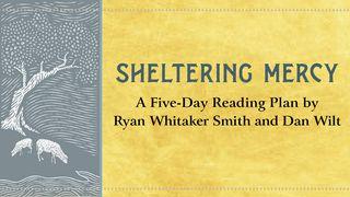 Sheltering Mercy by Ryan Whitaker Smith and Dan Wilt Psalms 5:12 New International Version