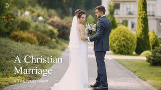 A Christian Marriage Genesis 1:26 New International Version