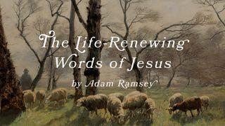 The Life-Renewing Words of Jesus by Adam Ramsey John 2:4 New International Version