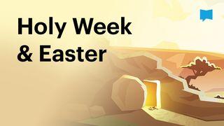 BibleProject | Holy Week & Easter John 2:19 New International Version